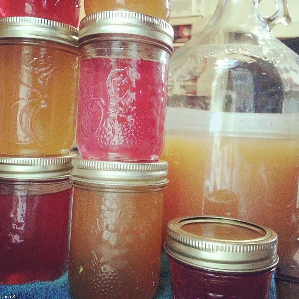 apple juice and violet jellies being made