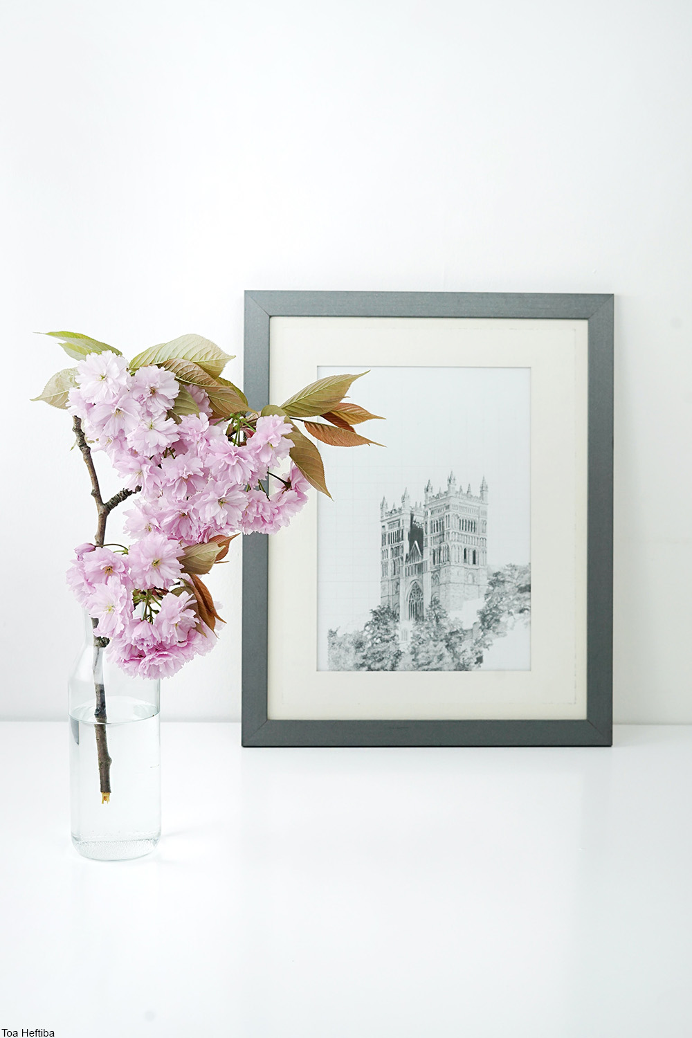 flowering branch in a clear vase