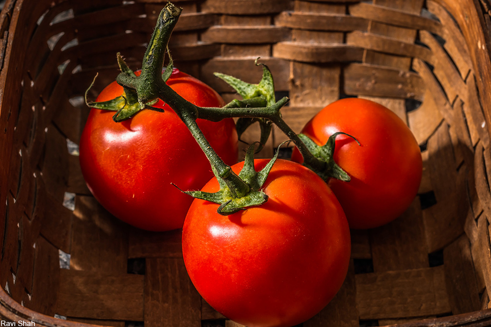 basket containing tomatoes on the vine