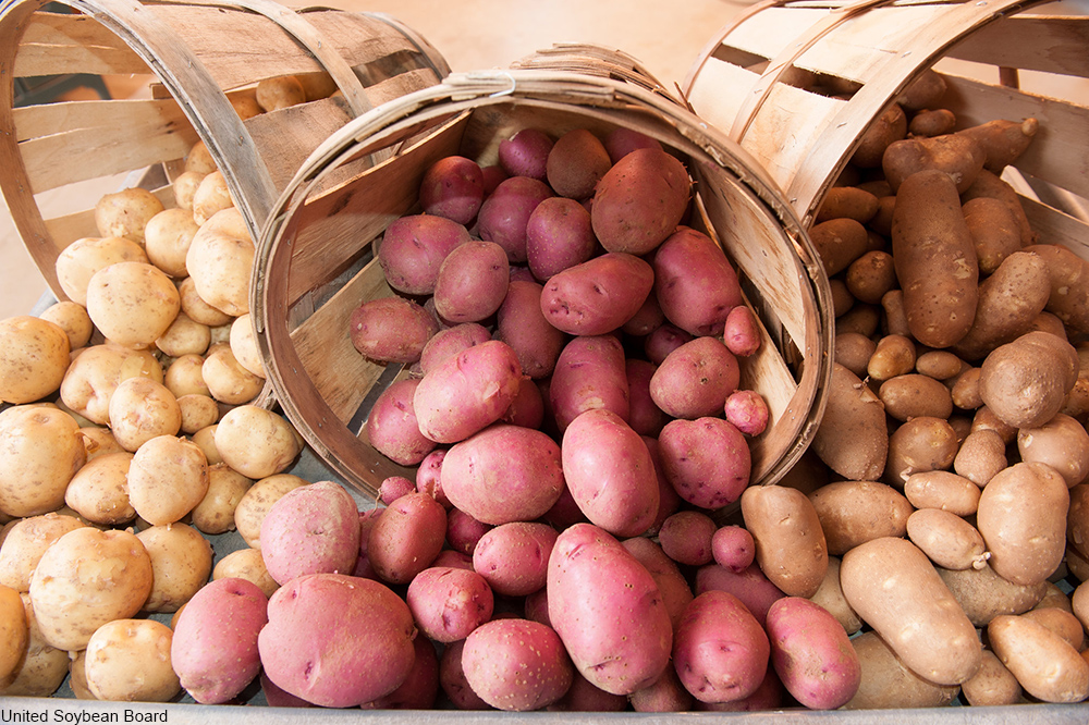 display of three types of potatoes with baskets