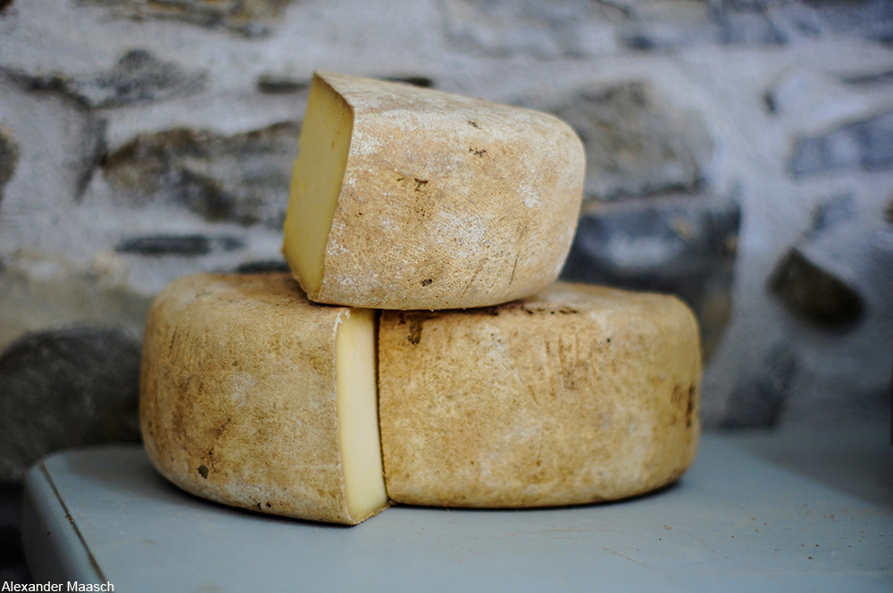 a cheese wheel cut into sections"
