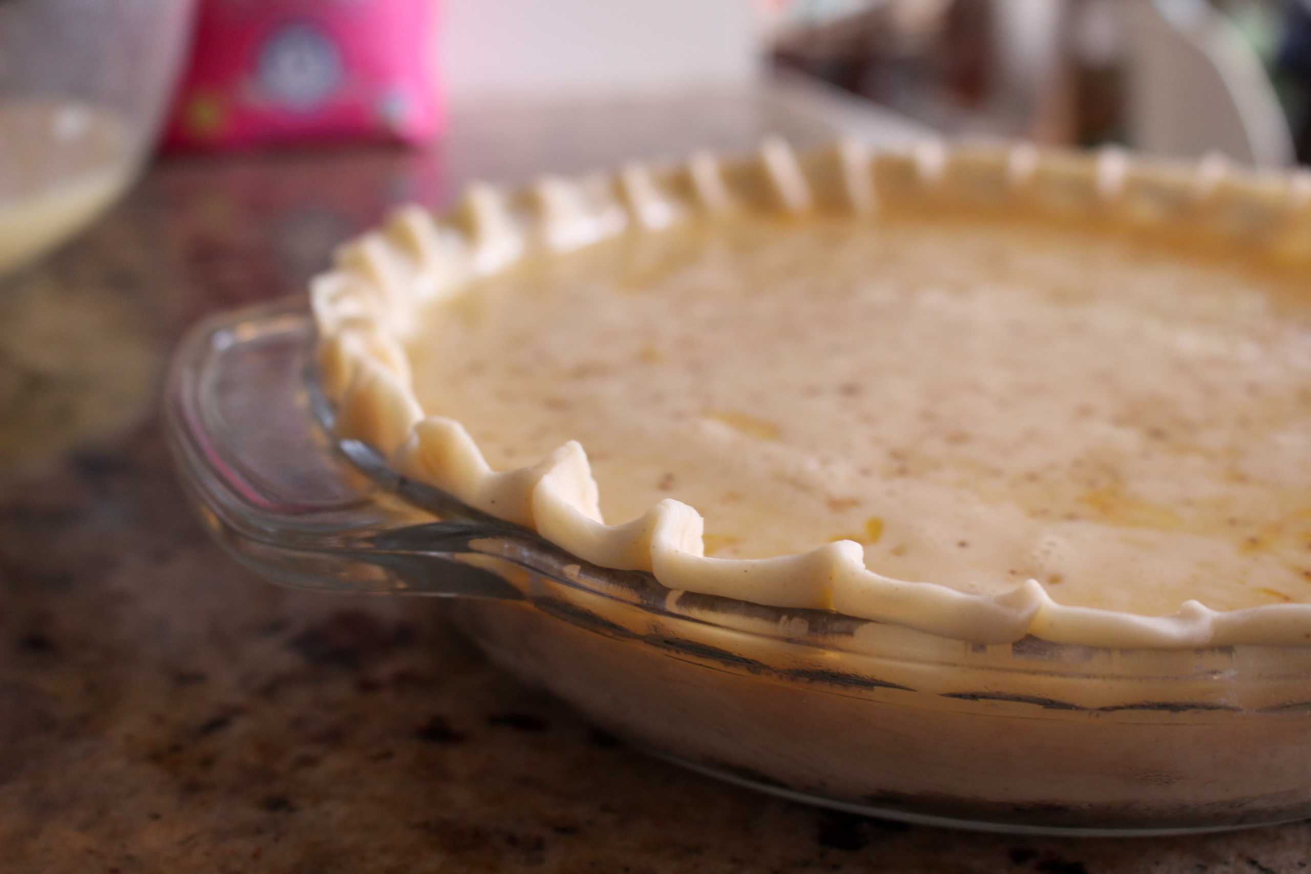 Unbaked Egg Pie