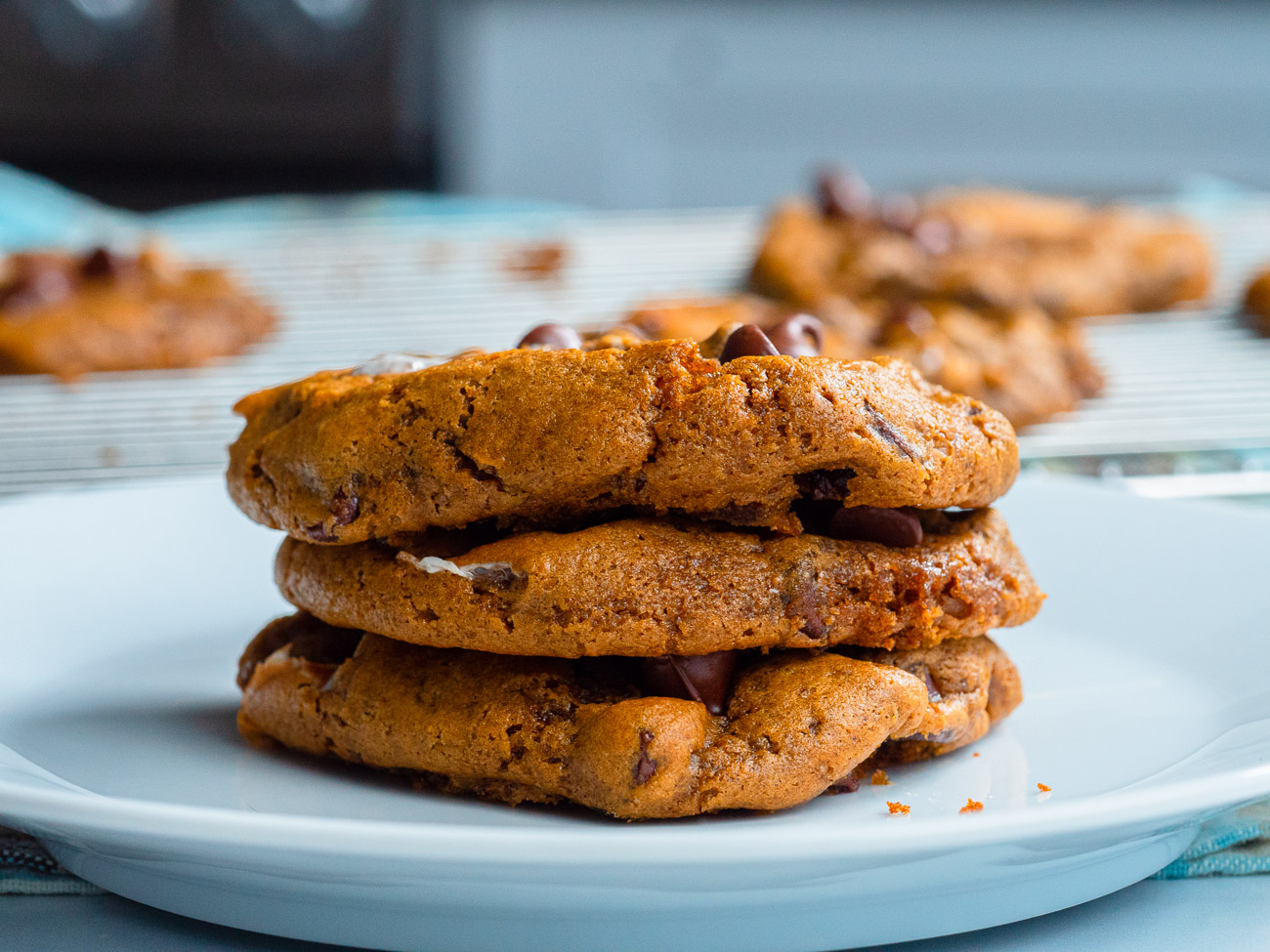 Pumpkin s'mores cookies