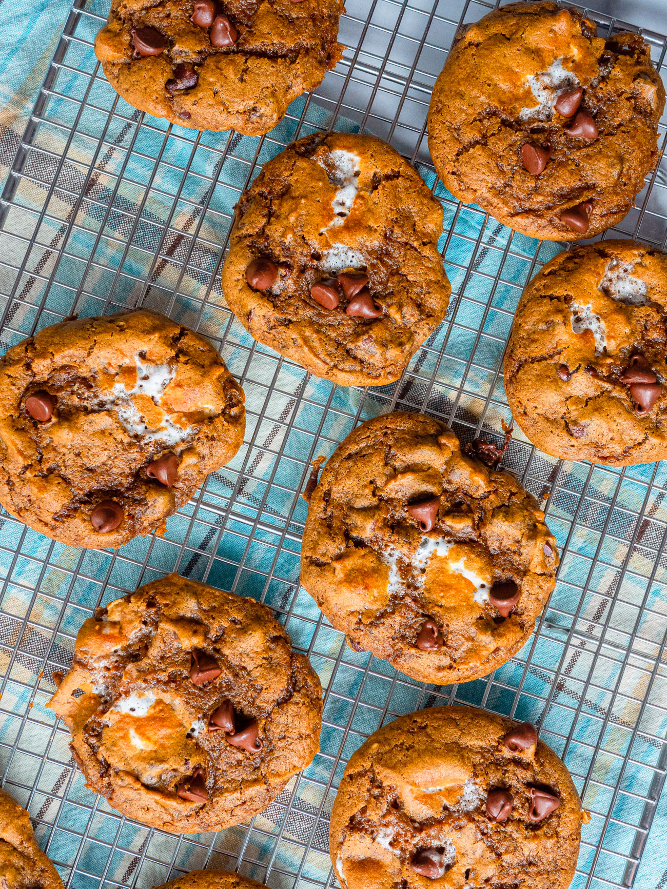 Pumpkin s'mores cookies