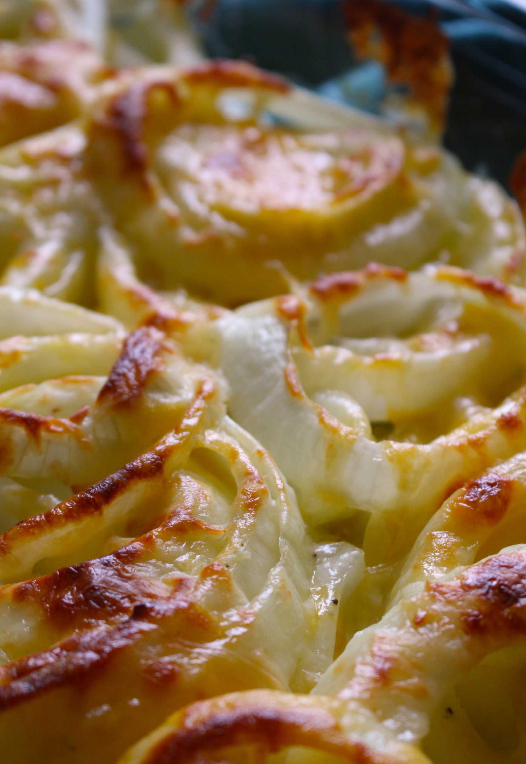 Tennessee Onions 5