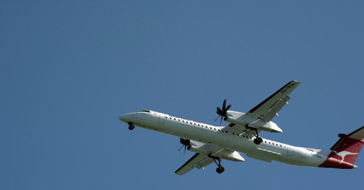 flight