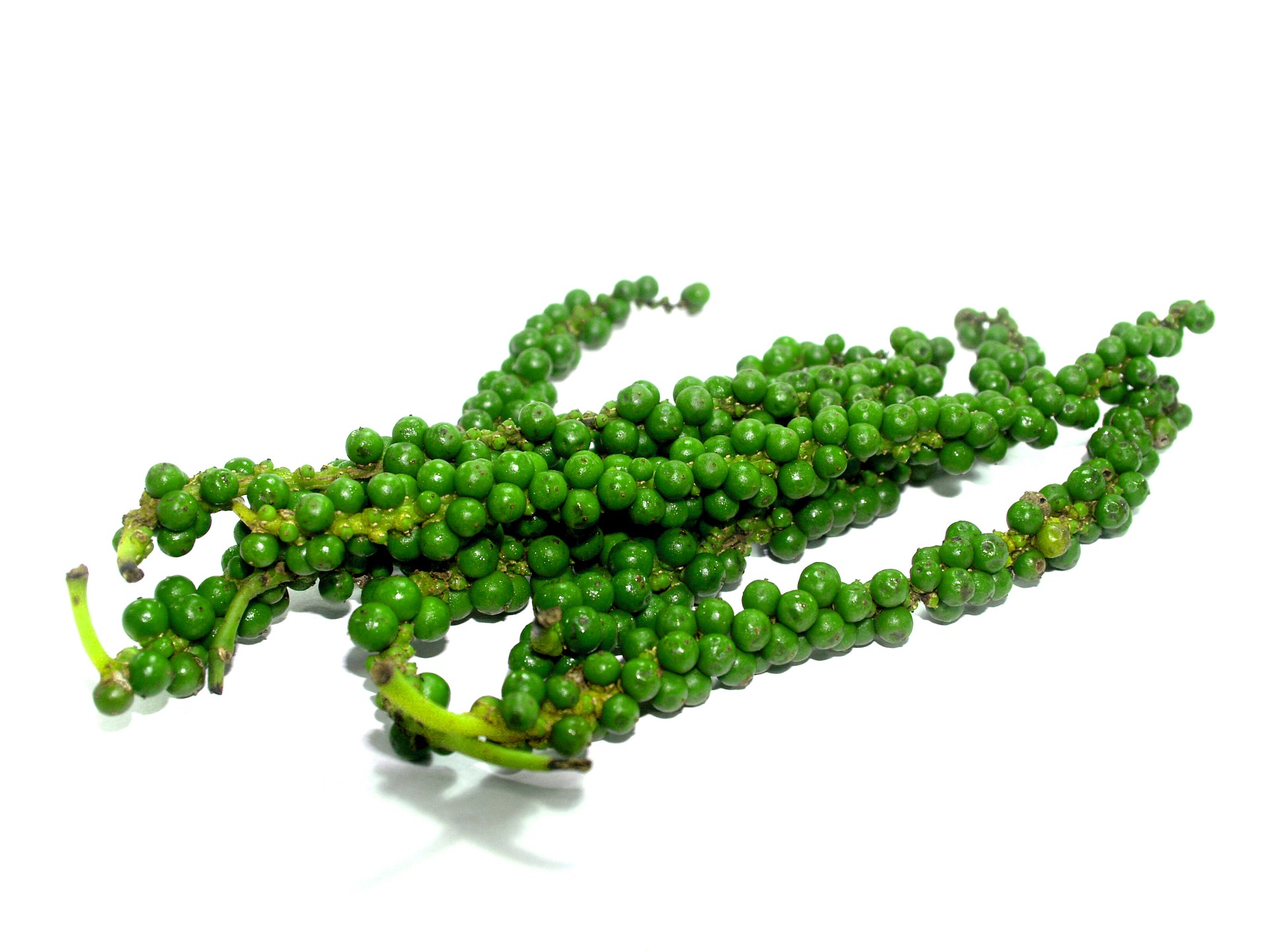 Green Pepper