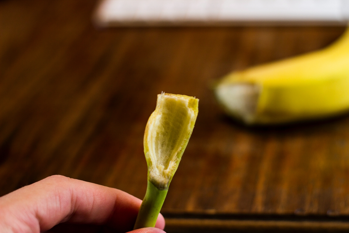 broken banana