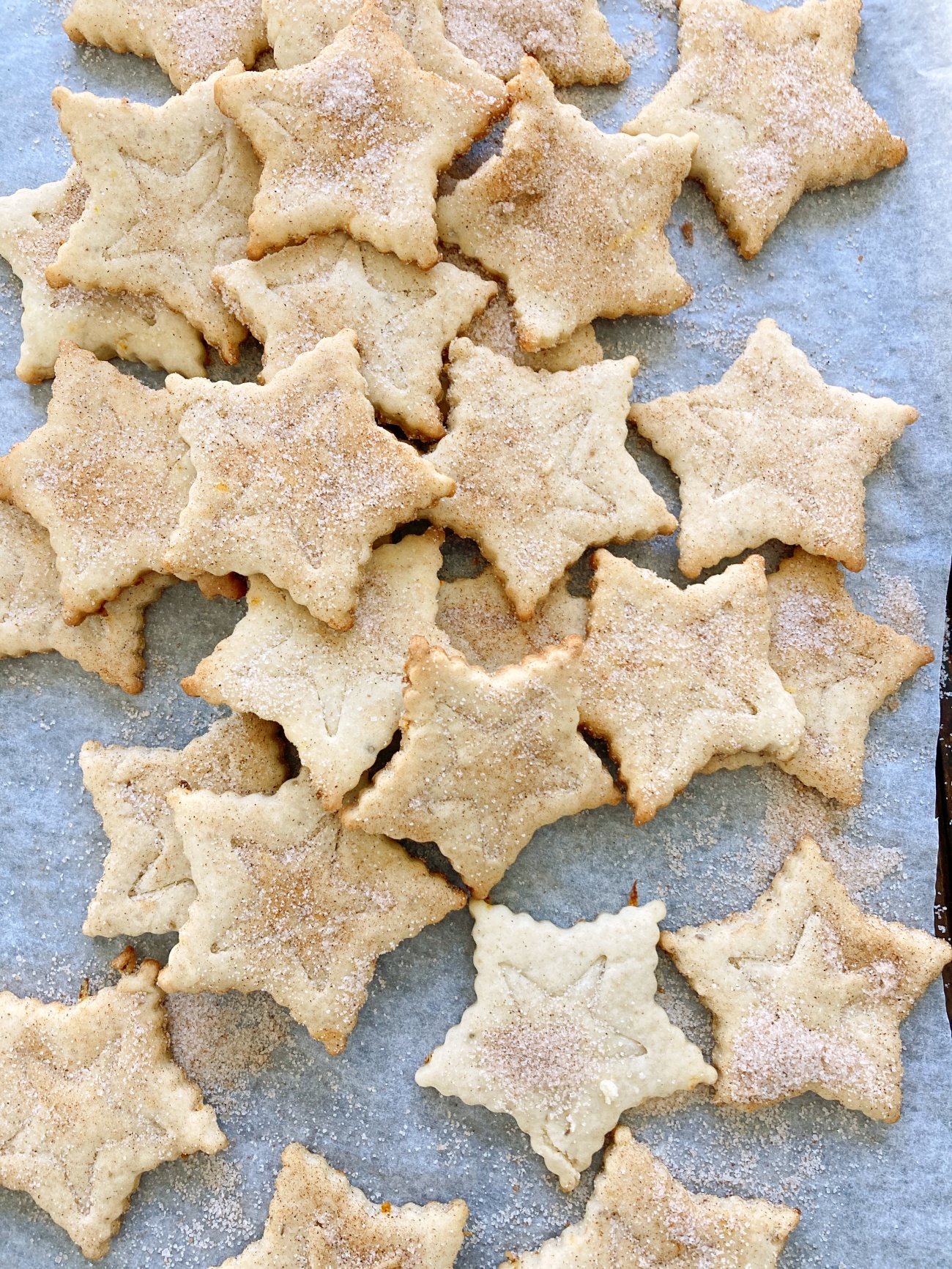 New Mexico Biscochitos