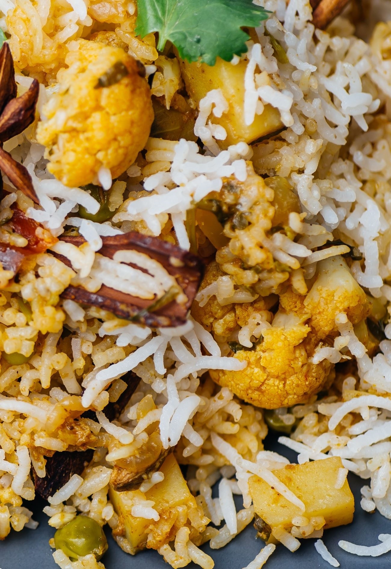 Veg Biryani Vertical 1