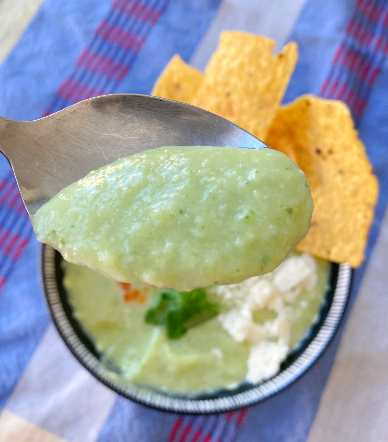 Avocado Soup
