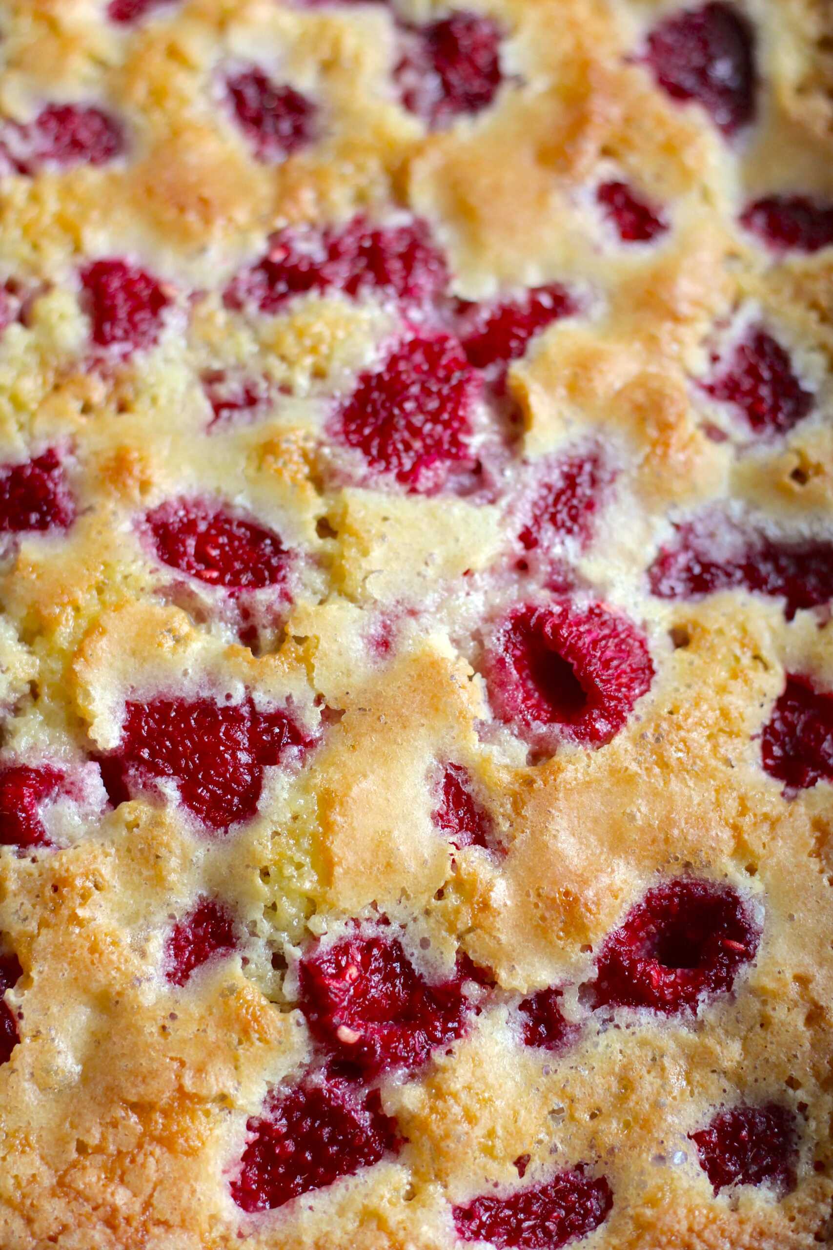 Raspberry Buckle 4-min