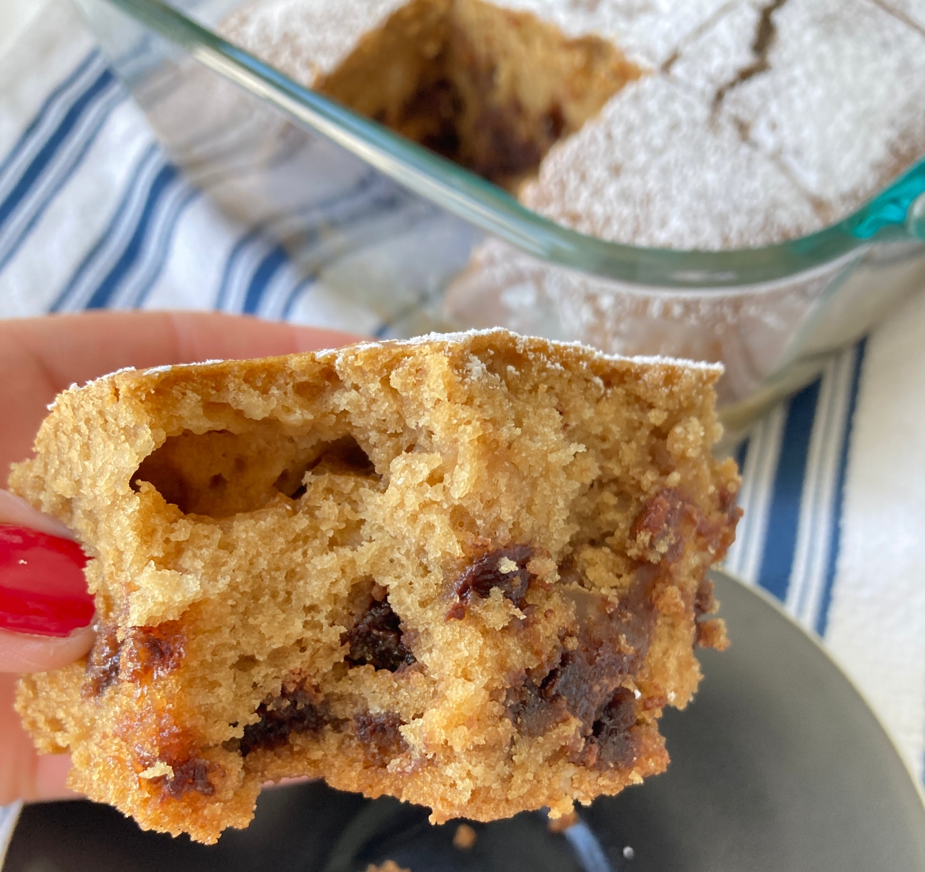 Golden Chocolate Chip Snackin’ Cake