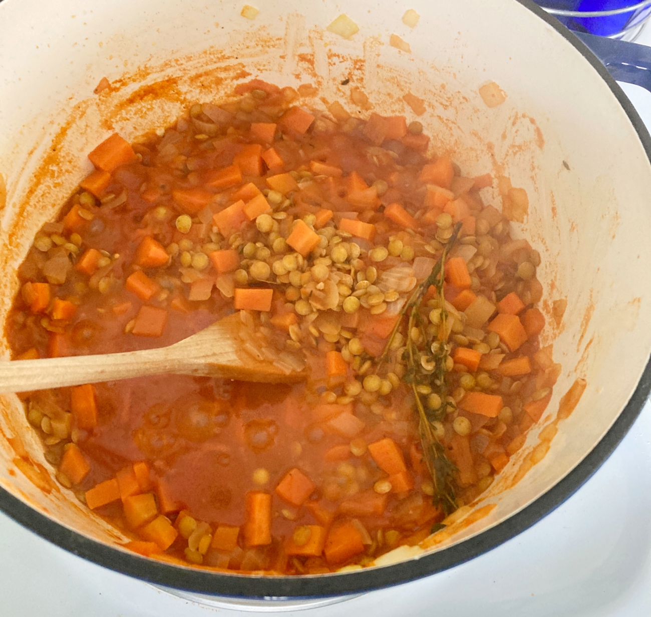 Lentil Ragout