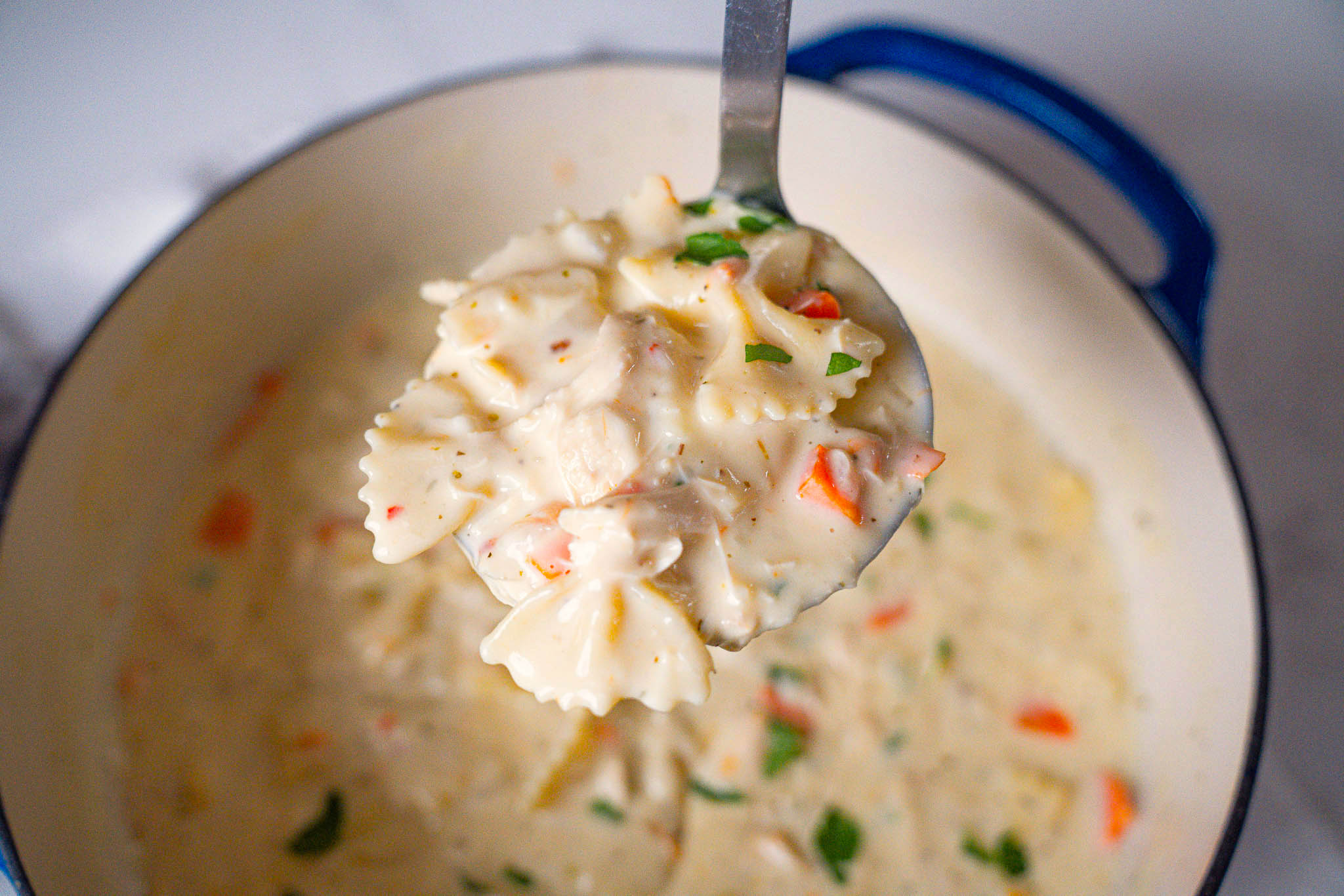 Chicken Alfredo Soup Hori-05