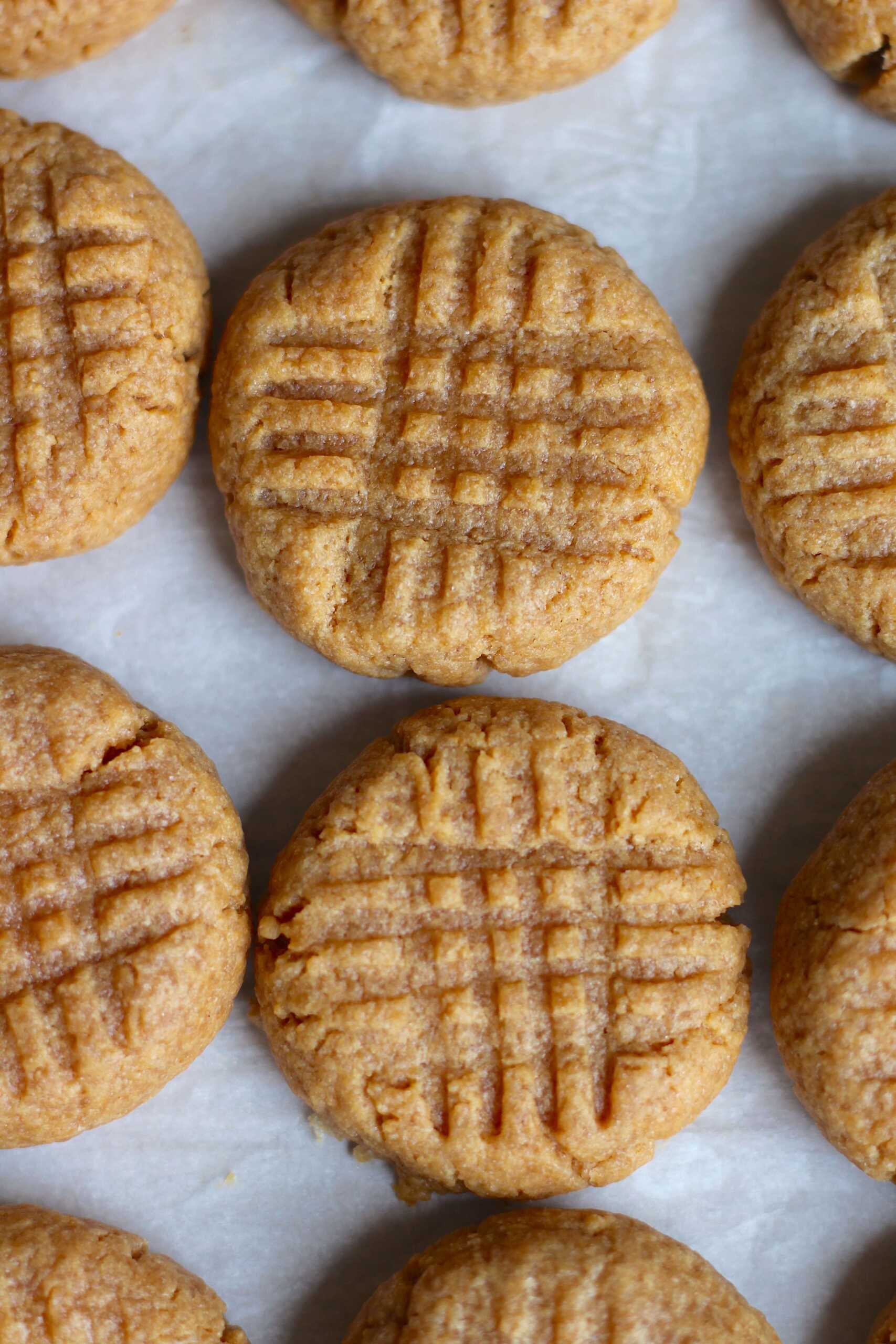 Powdered Peanut Butter Cookies 10-min
