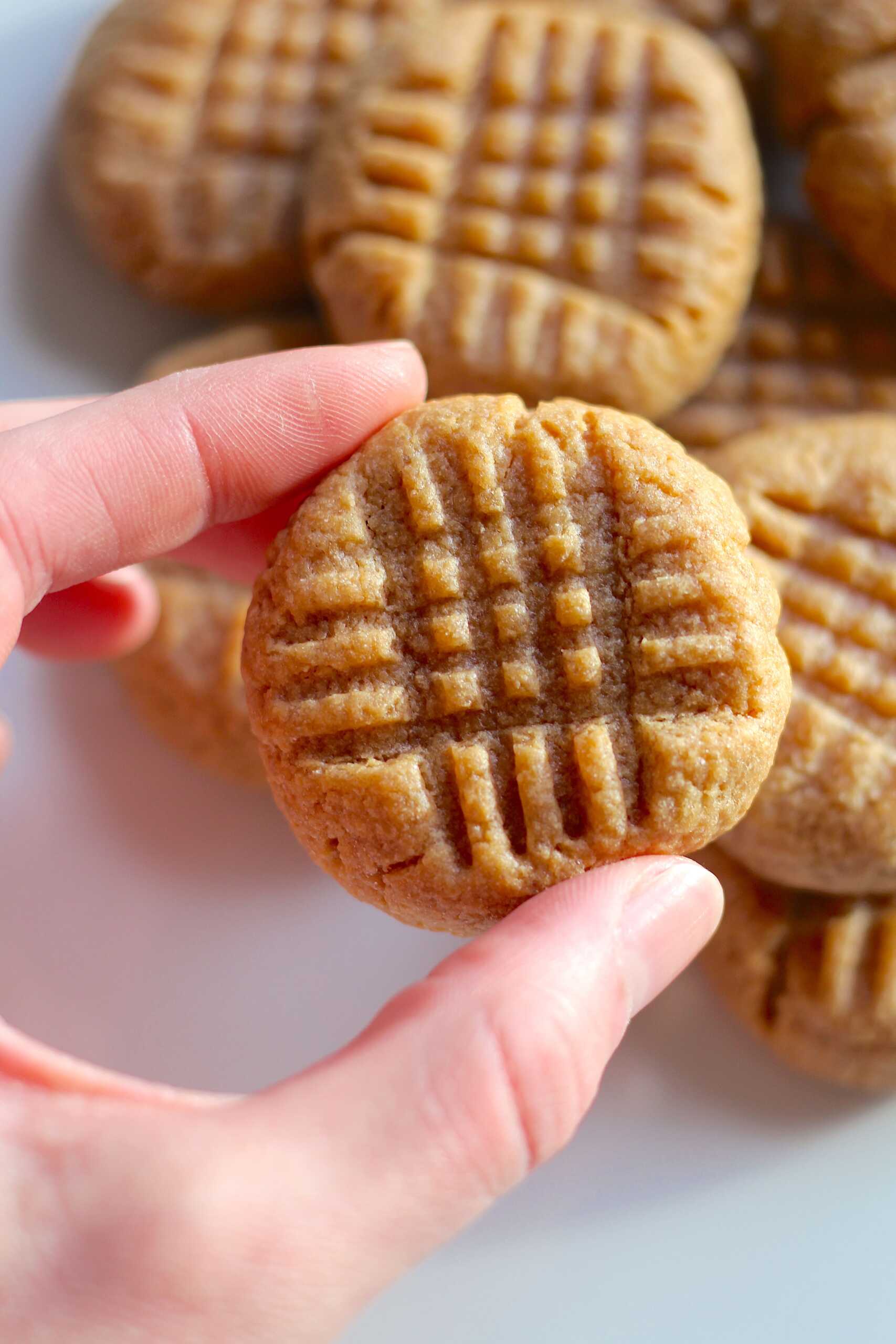 Powdered Peanut Butter Cookies 12-min