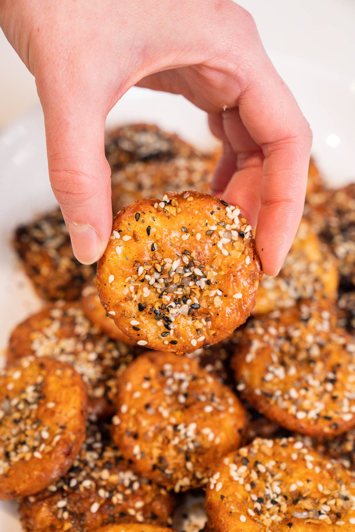 Everything Bagel Crisps Vert-01