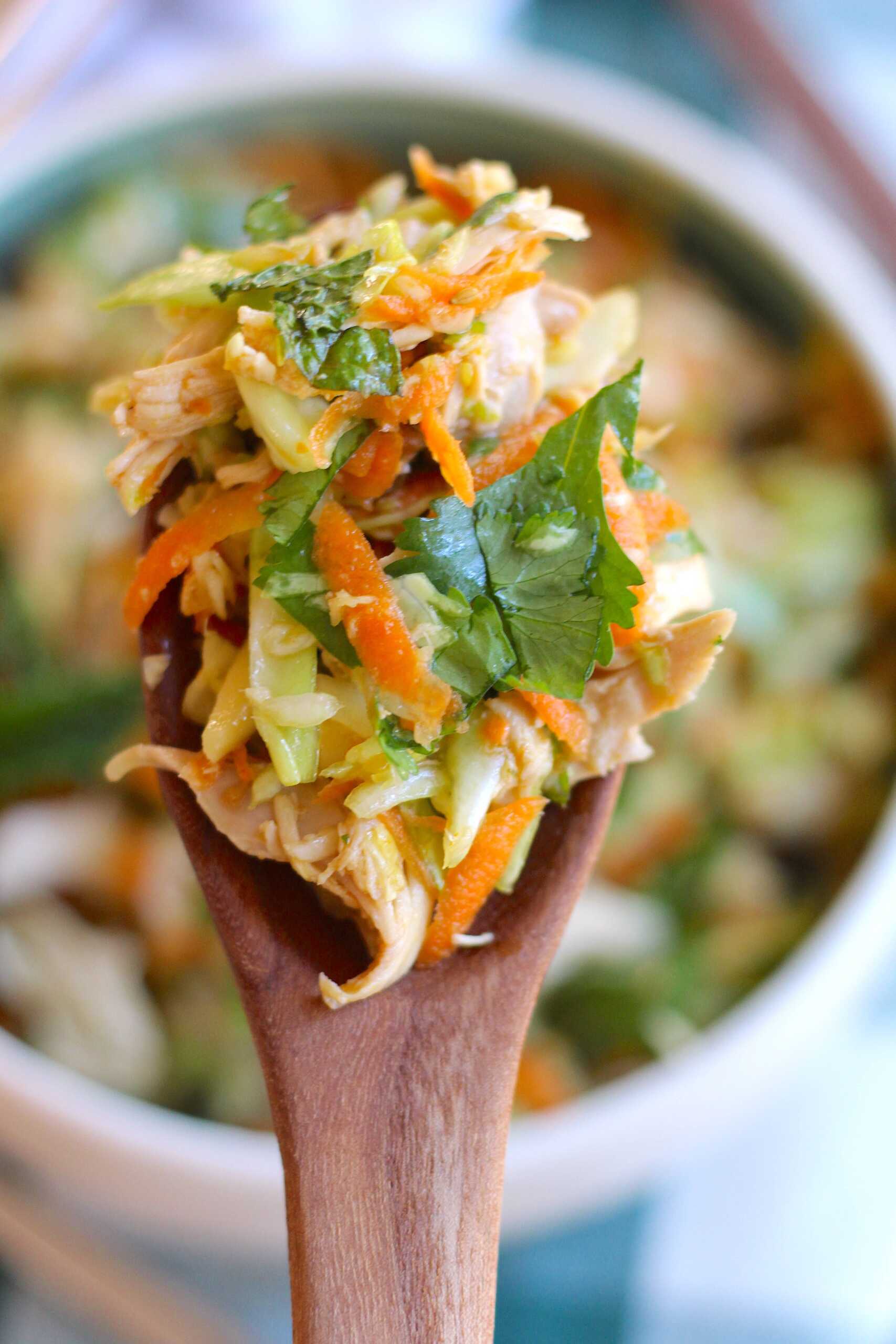cabbage sesame chicken salad 9-min