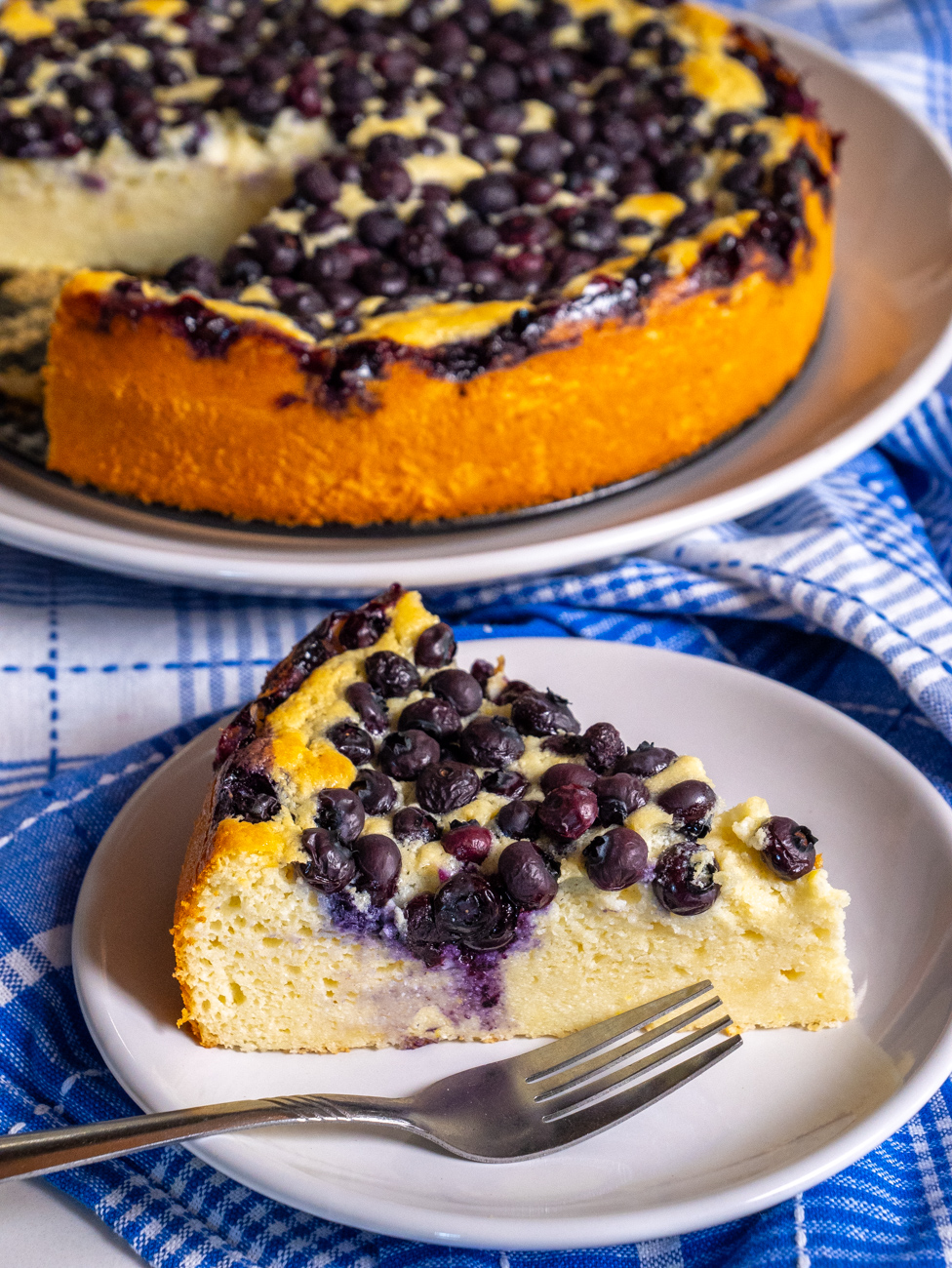 Lemon Blueberry Ricotta Cake Vertical 17