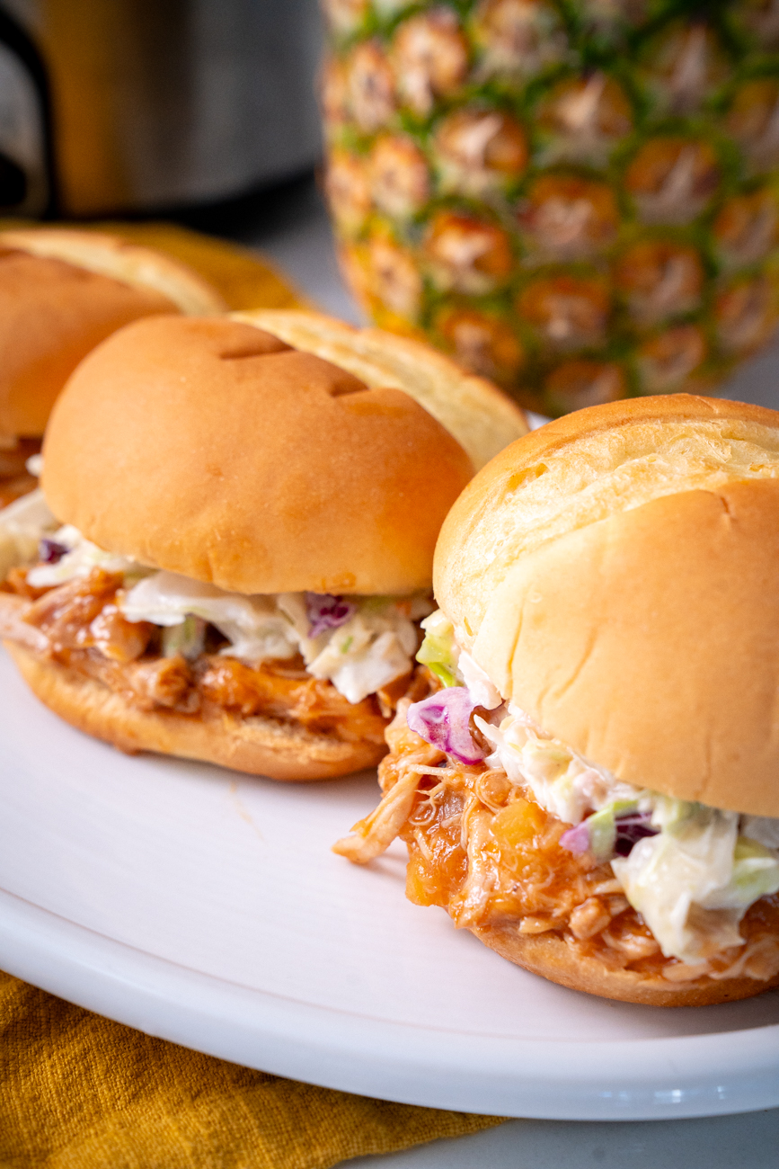 Hawaiian Shredded Chicken Vertical 13