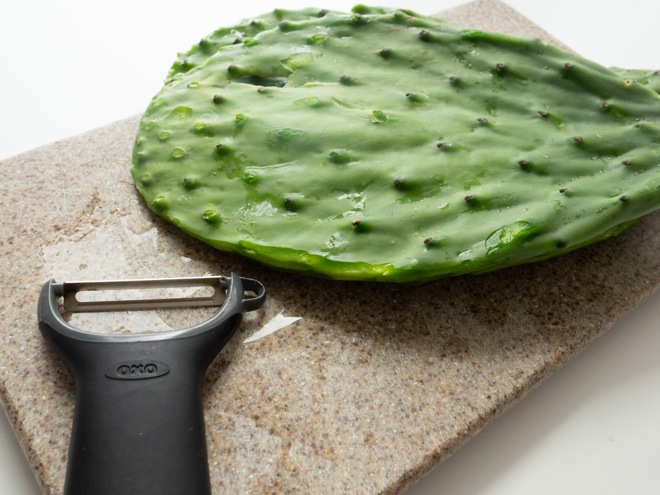 Nopales con Pico de Gallo

