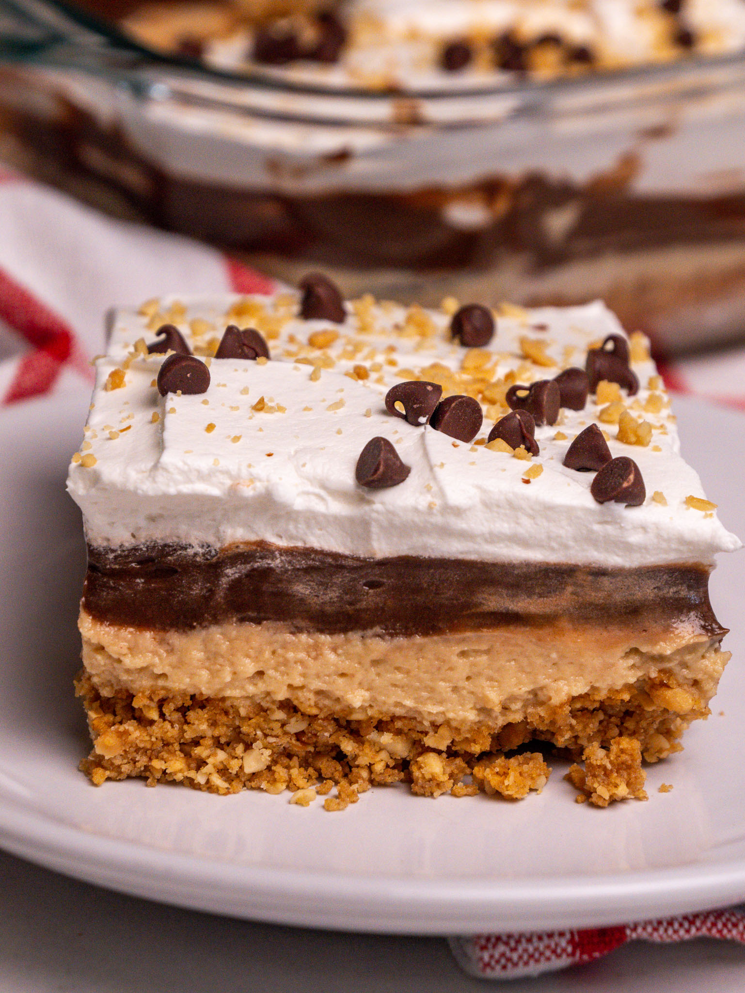 Jimmy Carter Cake Vert-25