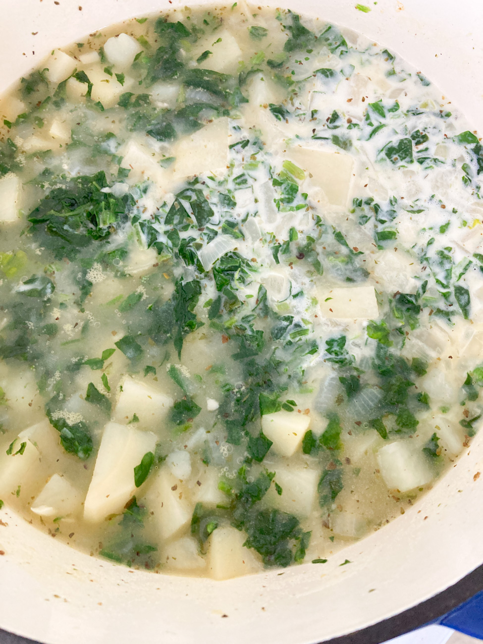 Spinach Cheddar Soup