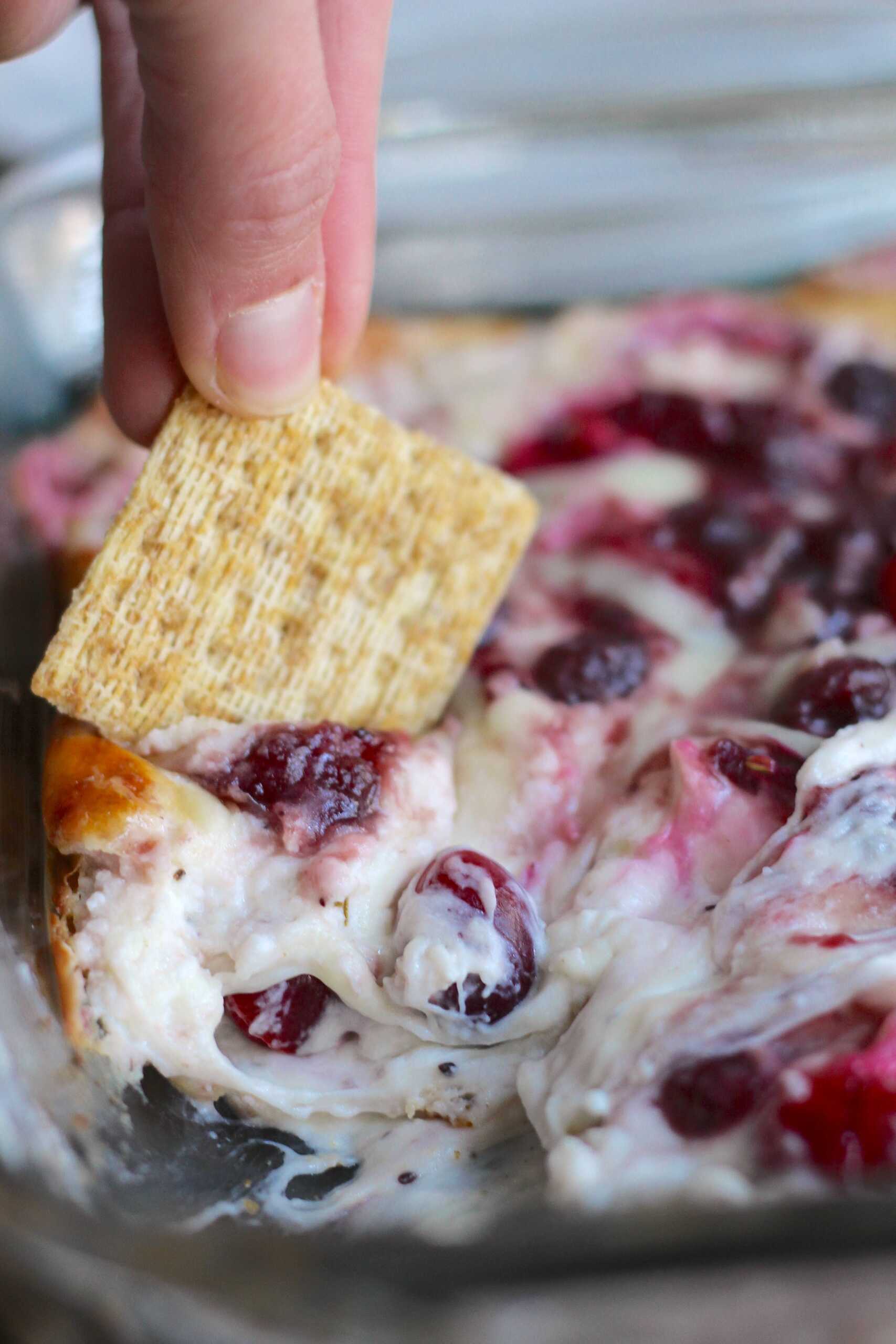 Cranberry Cream Cheese Dip 11