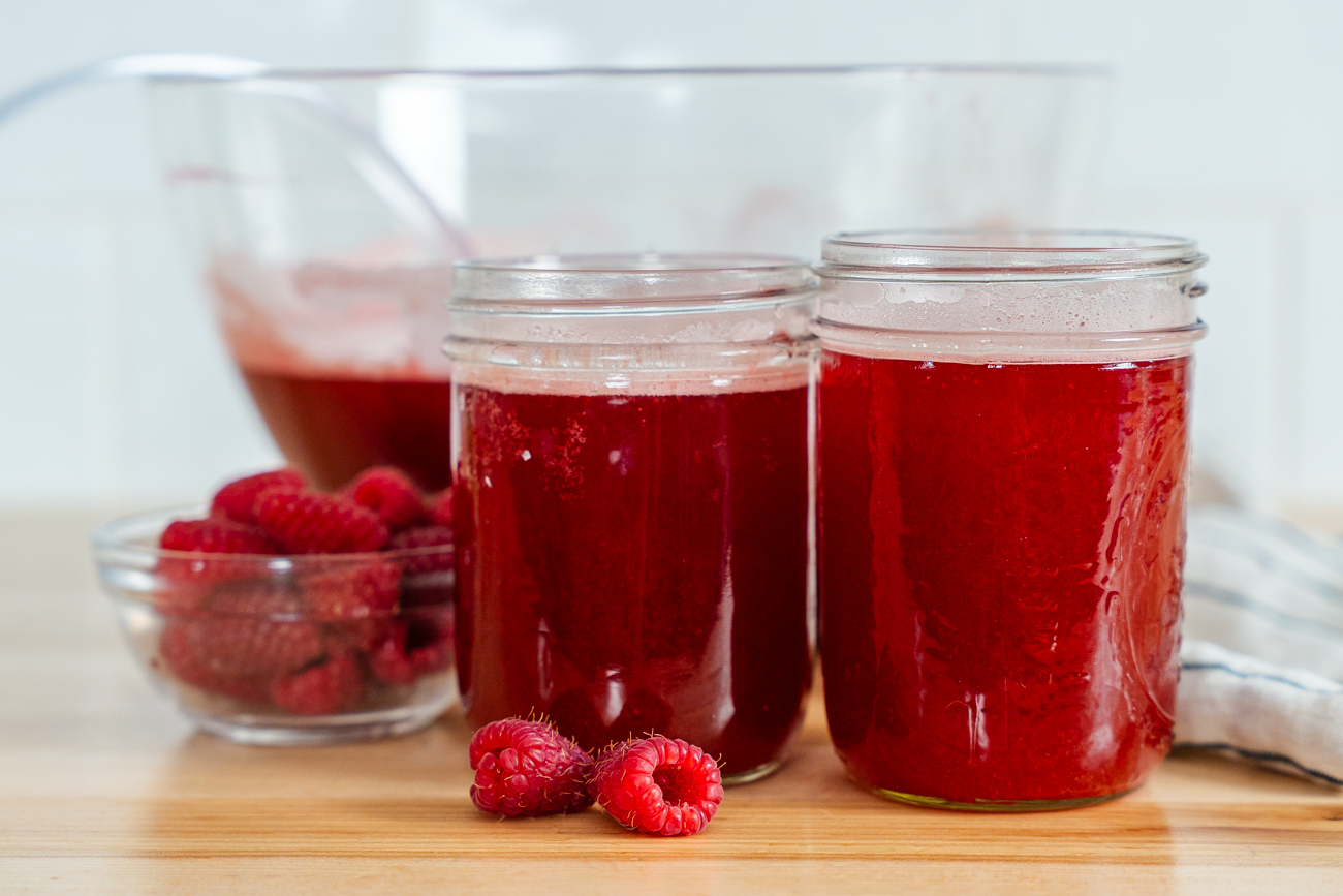 Raspberry Refresher Horizontal 3